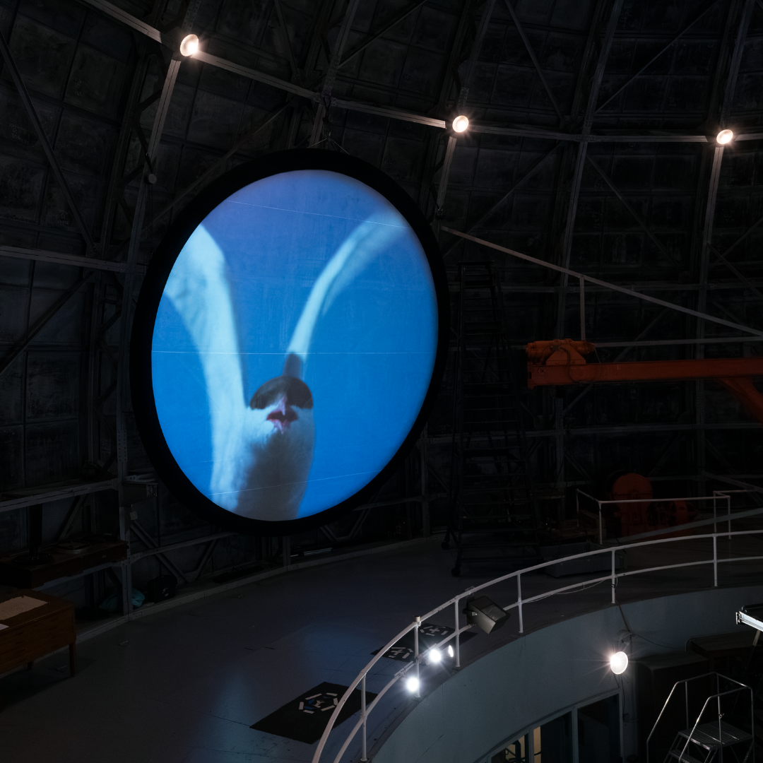 Stephen Nowlin + Rebecca Mendez: Of Sea and Sky, 2024. Installation View. Courtesy Mount Wilson Observatory.